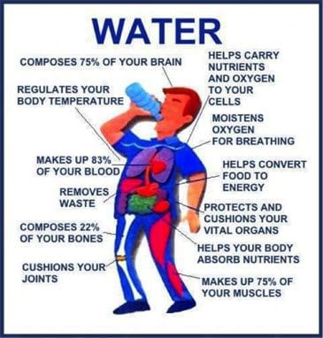 Holistic Health - Water 