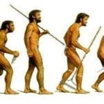 back pain