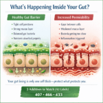emulsifiers gut health